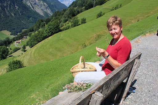 Schweizer Alpenkräuter Tee 20g, 6st