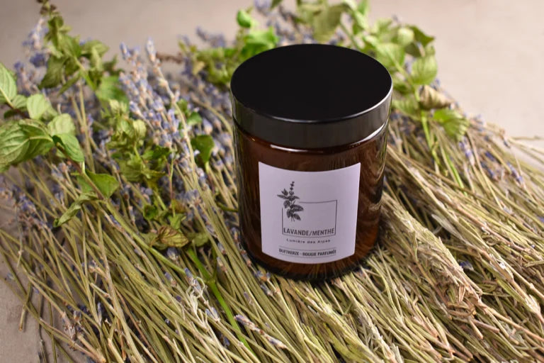 Spa Alpina – Duftkerze Lavendel/Minze, 6st